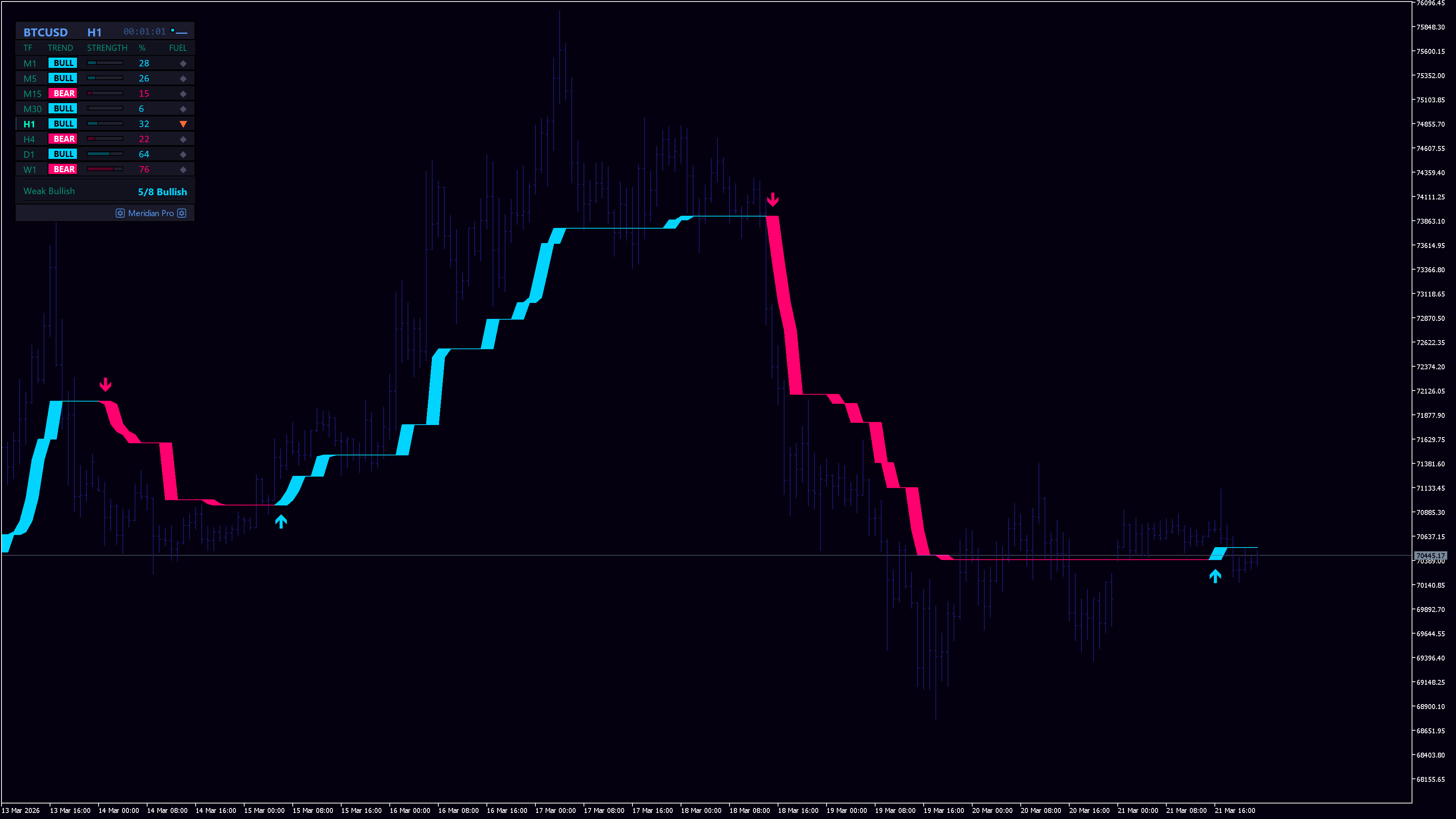 Meridian Pro screenshot